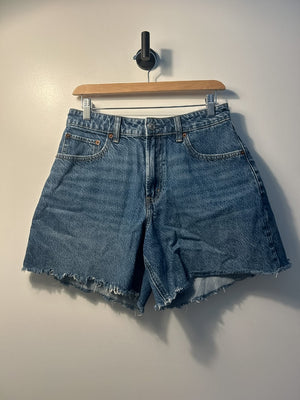 Abercrombie & Fitch Shorts - 27|4247