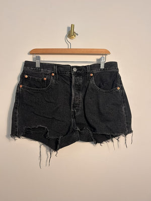 Levi's Shorts 31|2445