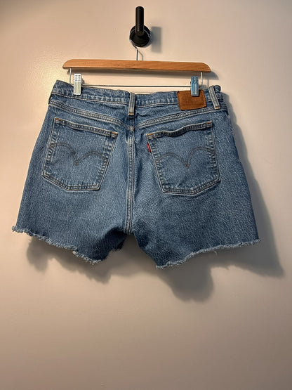 Levi's Shorts - 30|2858