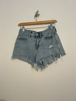 BDG Shorts Size 24|1046