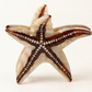 Lady June - Starfish Hair Clip|2037