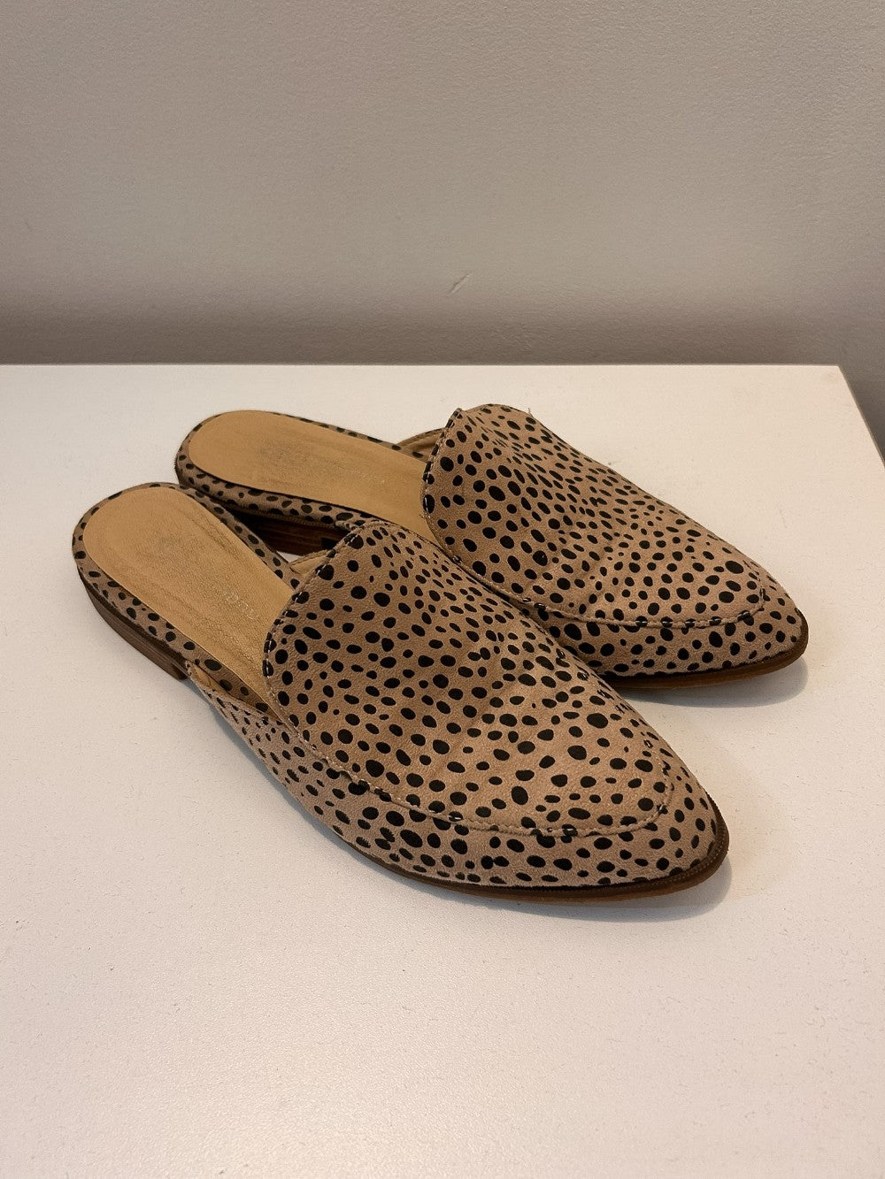 CL Laundry Shoes - 8.5|3896