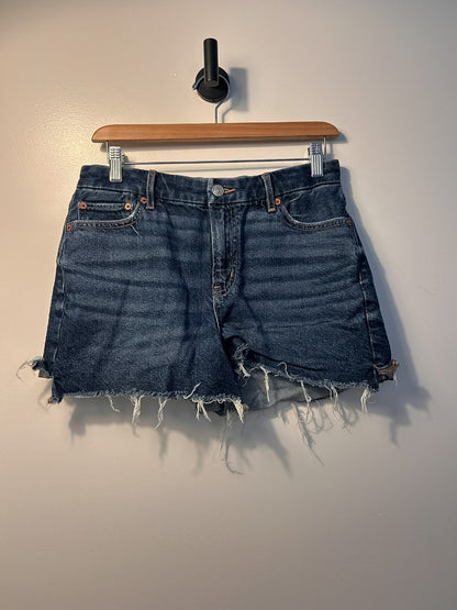 American Eagle Shorts - 4|3985