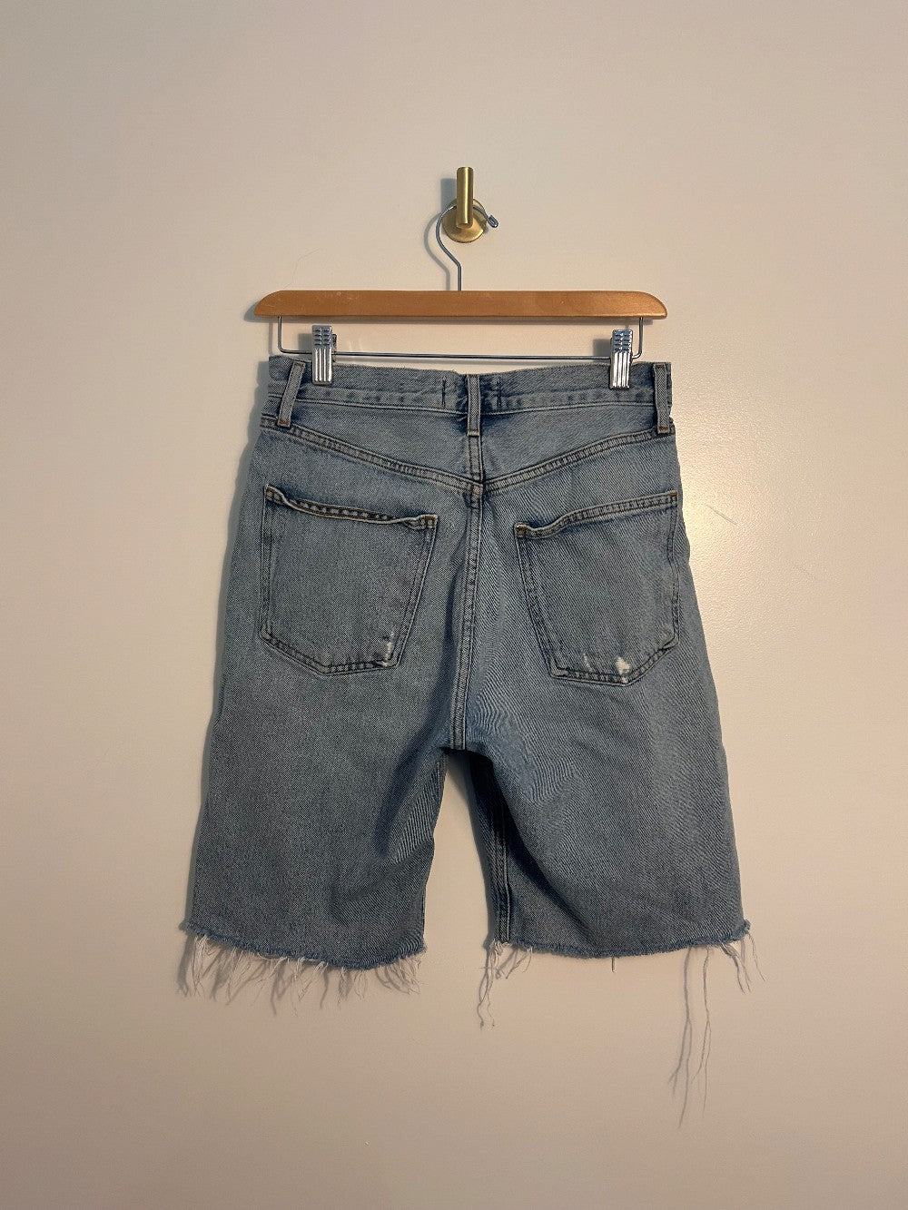 Agolde Shorts 24|2411