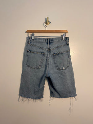 Agolde Shorts 24|2411