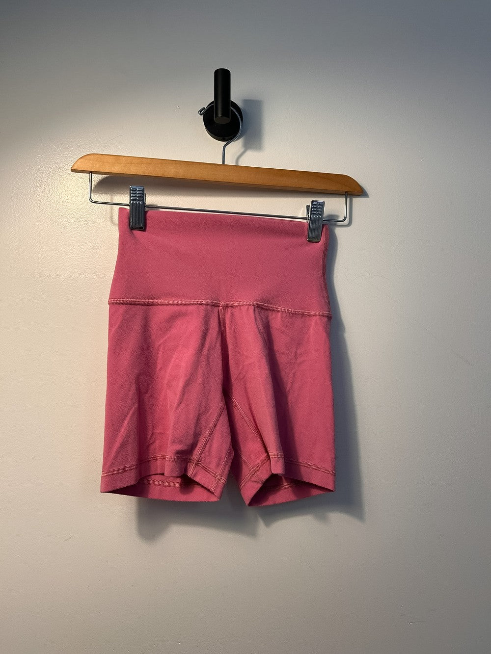 Aritzia Shorts - 00|2702