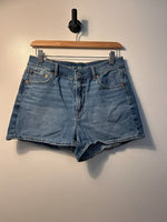 American Eagle Shorts - 4|4028