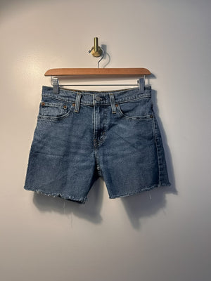Levis Shorts - 28|2568