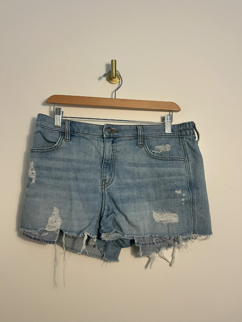 Aerie Shorts  - M|1867