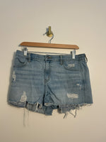 Aerie Shorts  - M|1867