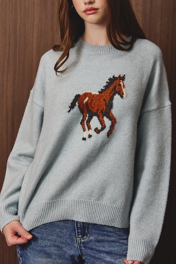 Le Lis - Horse Graphic Knit Crew Neck Sweater|3671