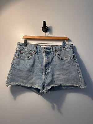 Denim Forum Shorts 29|5025