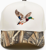 Funky Junque - Mallard Duck|1761