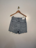 Denim Forum Shorts Size 30|2128