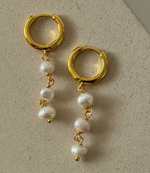 Pearl Drop Earrings - 18k gold plated bras|2176